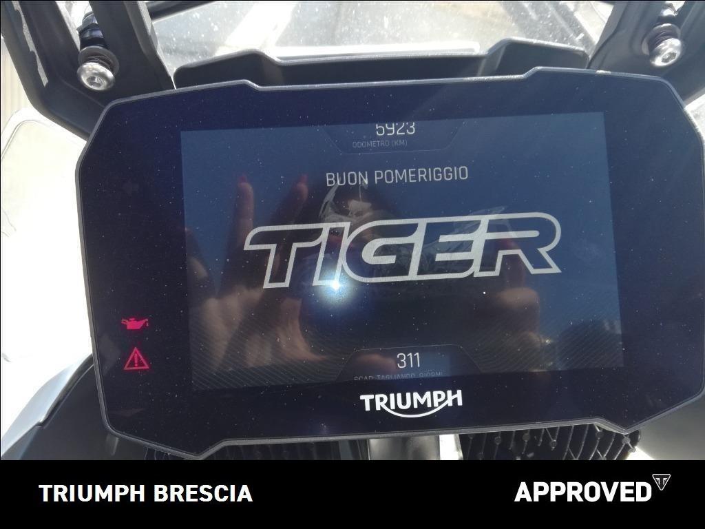 TRIUMPH Tiger 900 Rally Pro Abs