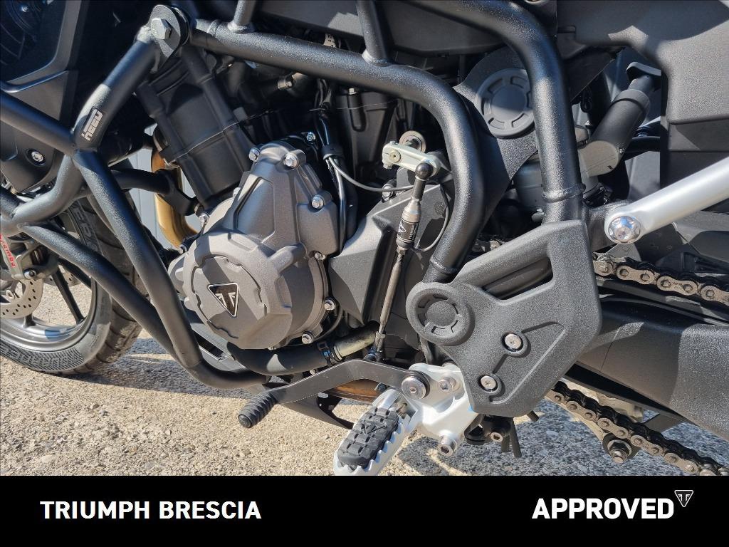 TRIUMPH Tiger 900 GT Abs