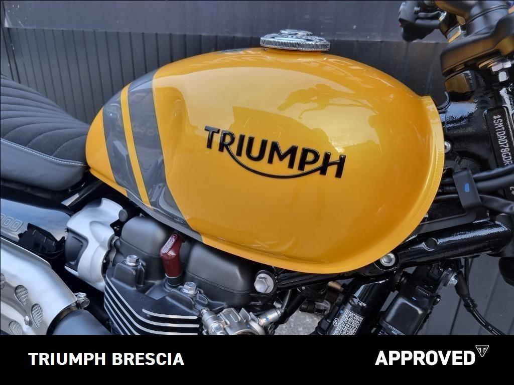 TRIUMPH Scrambler 900 Abs