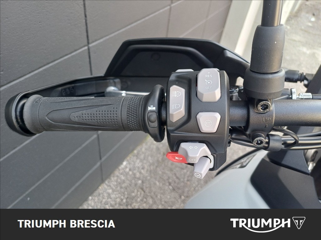 TRIUMPH Tiger 900 Alpine Edition