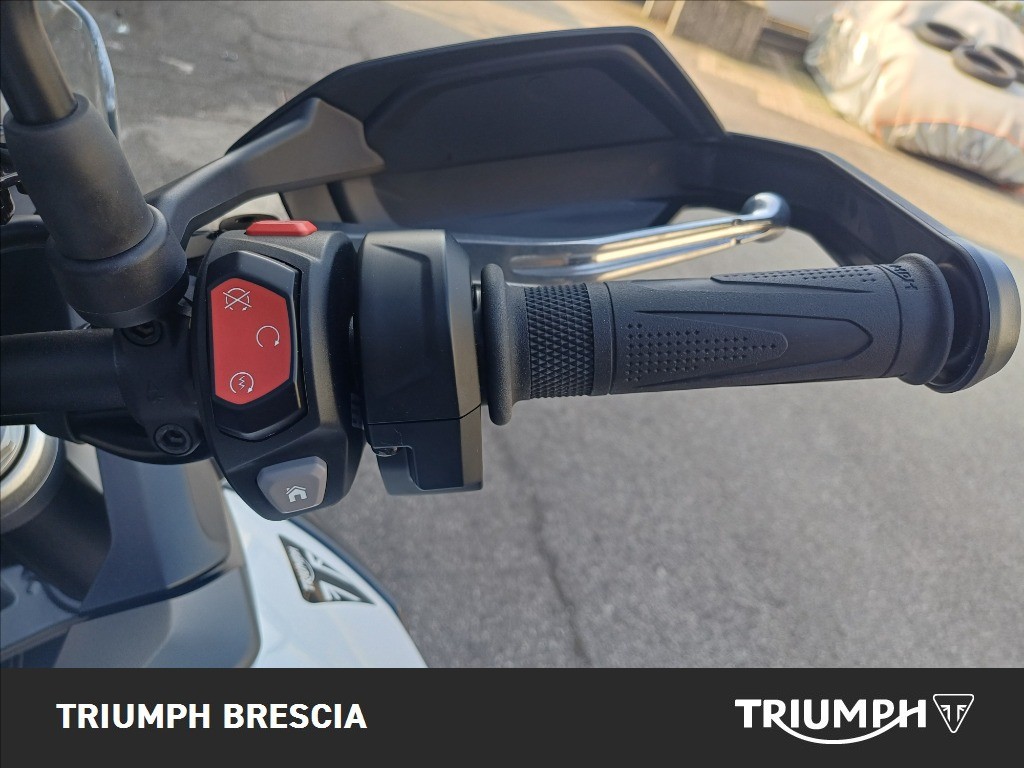 TRIUMPH Tiger 900 Alpine Edition