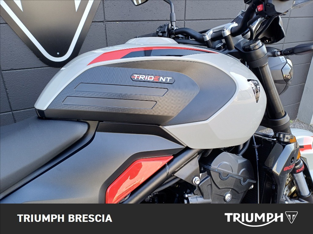 TRIUMPH Trident 800 Ash Grey Abs