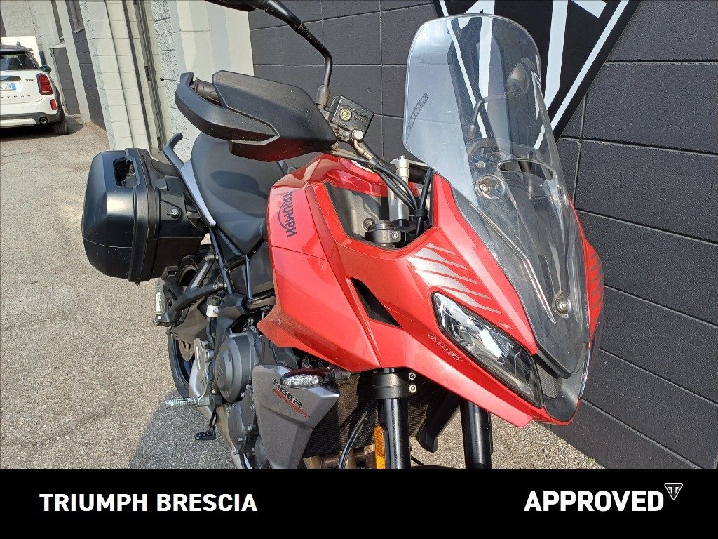TRIUMPH Tiger Sport 660 Abs
