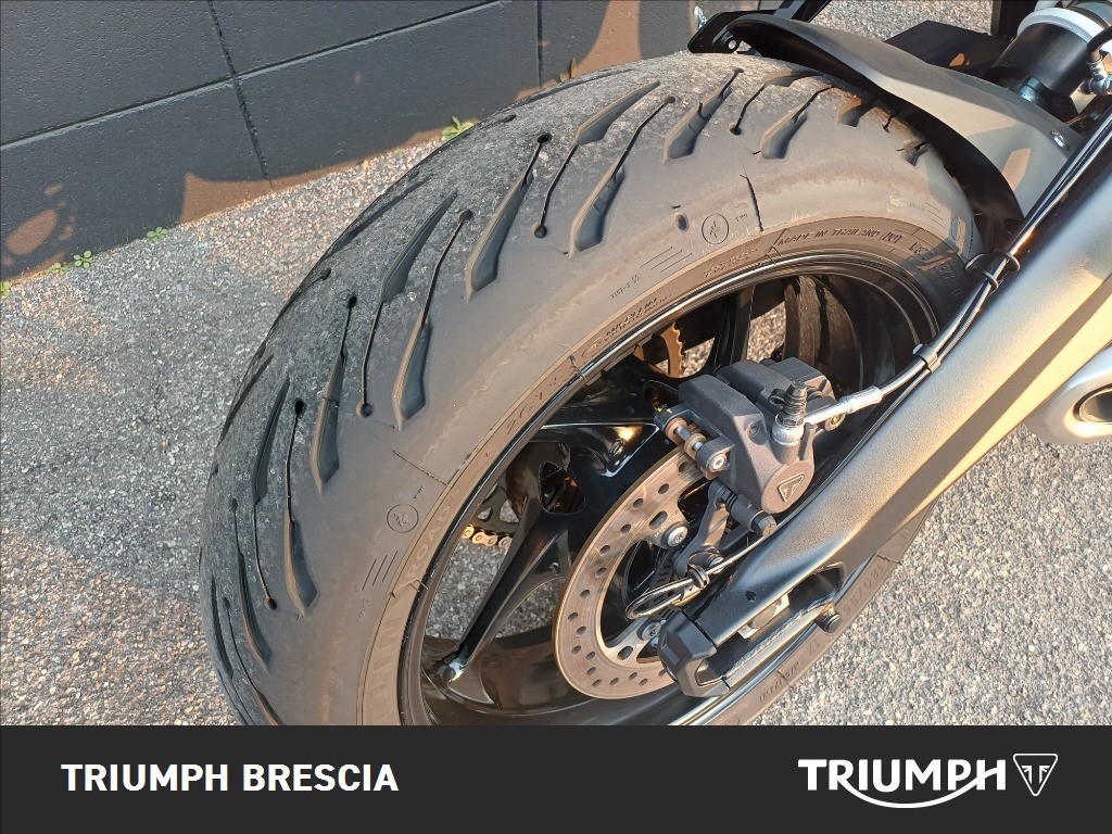 TRIUMPH Tiger Sport 660 Abs