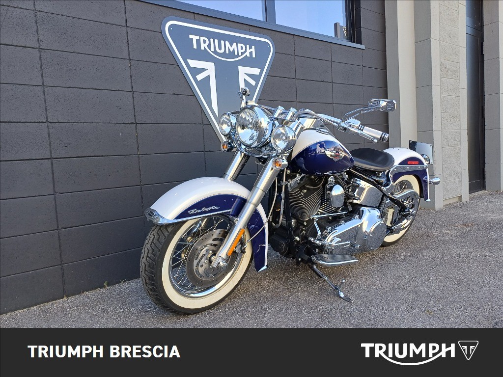 HARLEY-DAVIDSON Softail 1584 FLSTN  De Luxe
