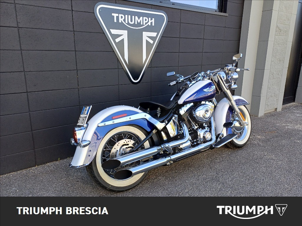 HARLEY-DAVIDSON Softail 1584 FLSTN  De Luxe