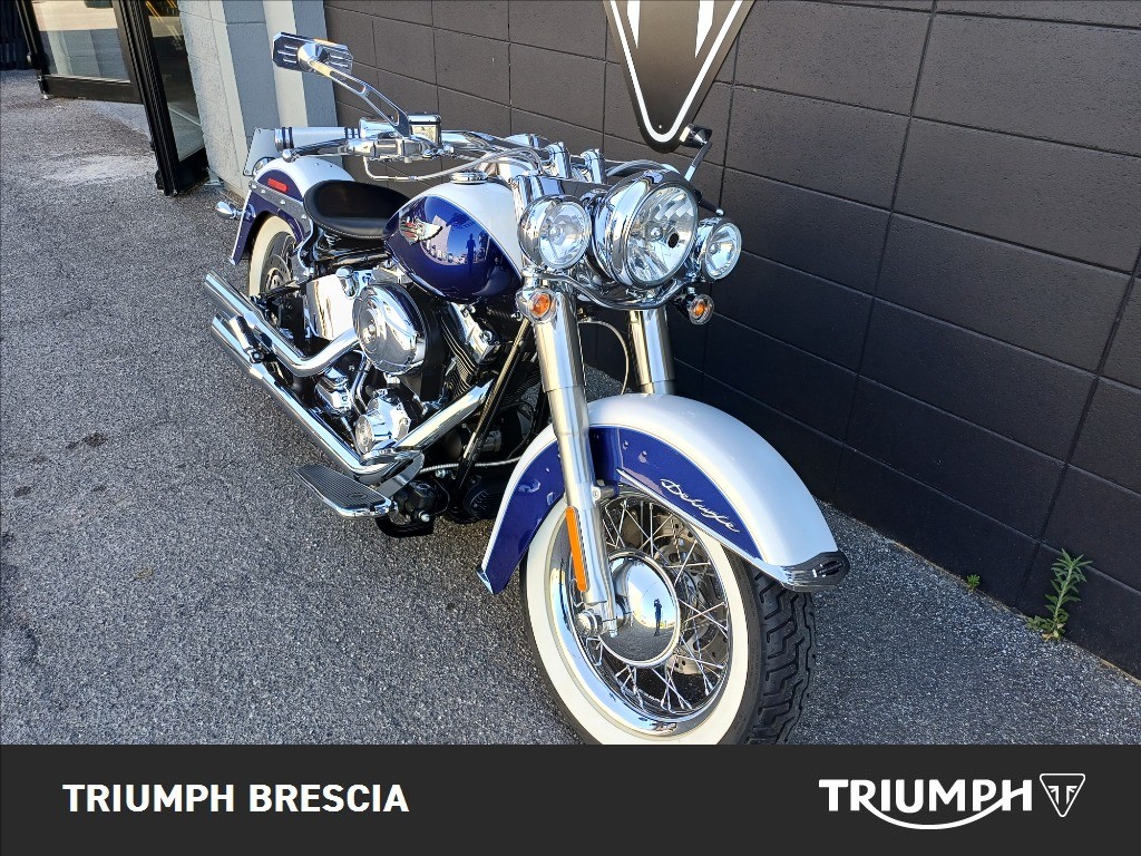 HARLEY-DAVIDSON Softail 1584 FLSTN  De Luxe