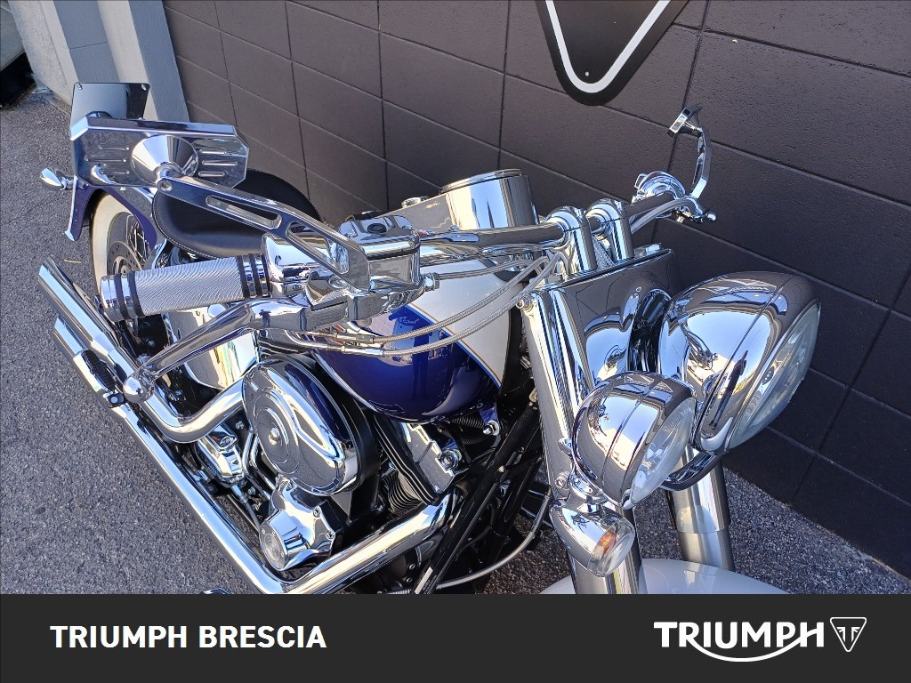 HARLEY-DAVIDSON Softail 1584 FLSTN  De Luxe
