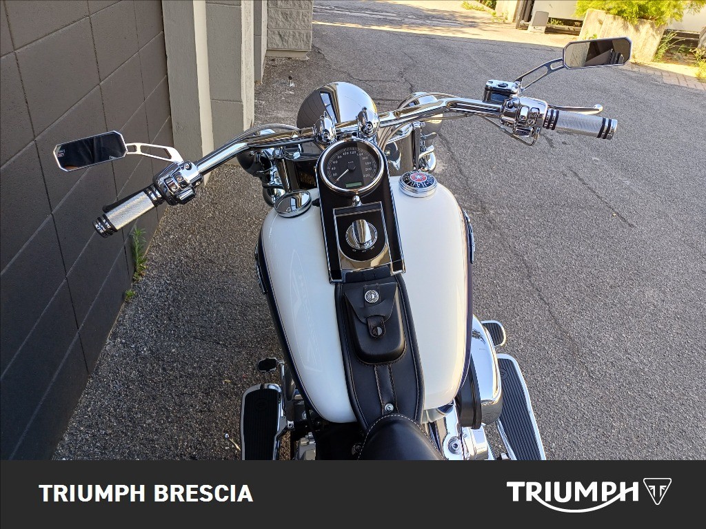 HARLEY-DAVIDSON Softail 1584 FLSTN  De Luxe