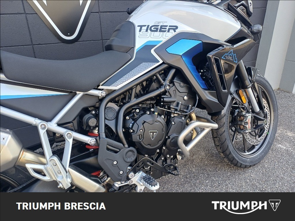 TRIUMPH Tiger 900 Alpine Edition