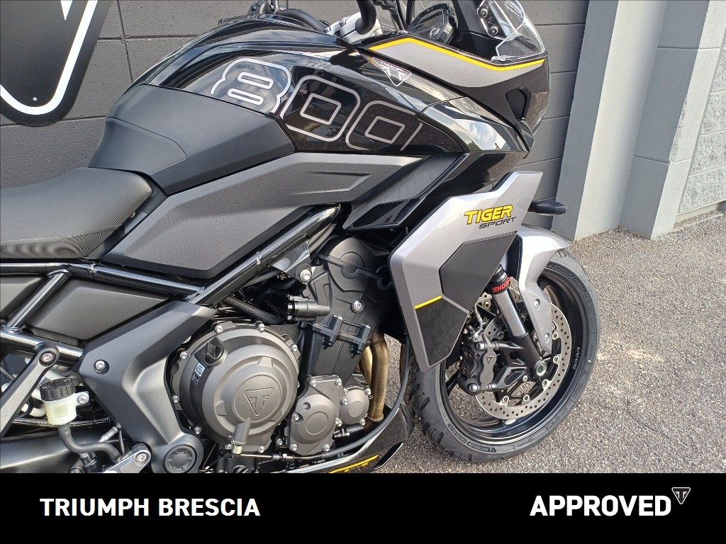 TRIUMPH Tiger Sport 800 Abs